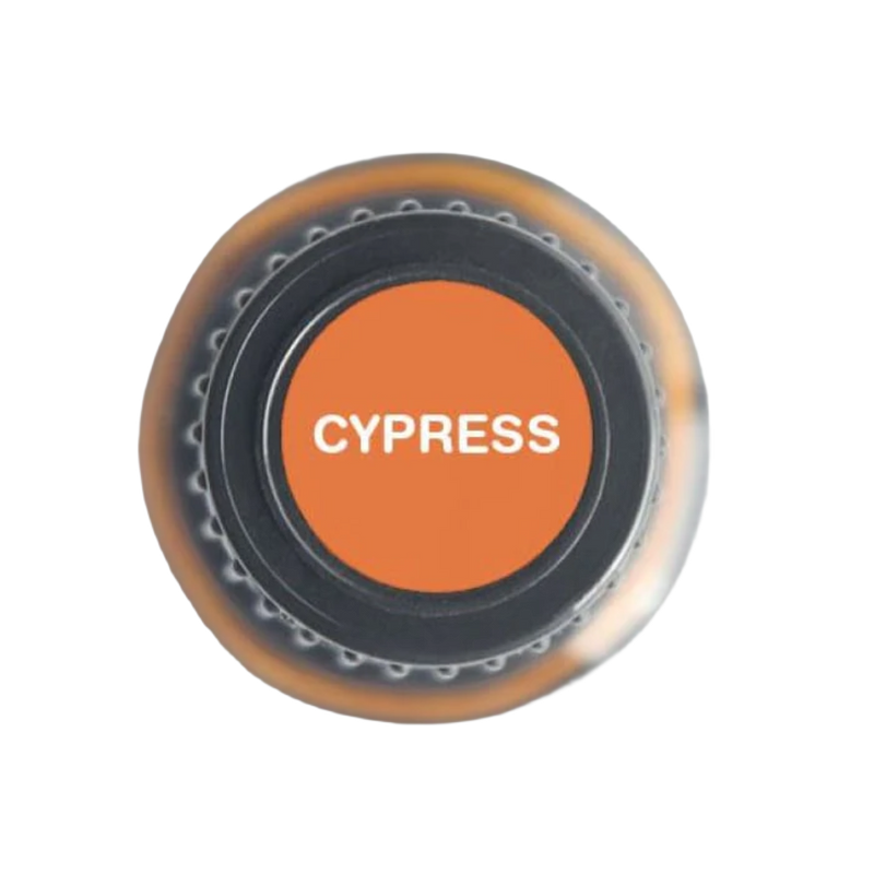 Cypress Pure Essential Oil - 15ml | 100% Pure & Natural | Aromatherapy, Skincare, Stress Relief