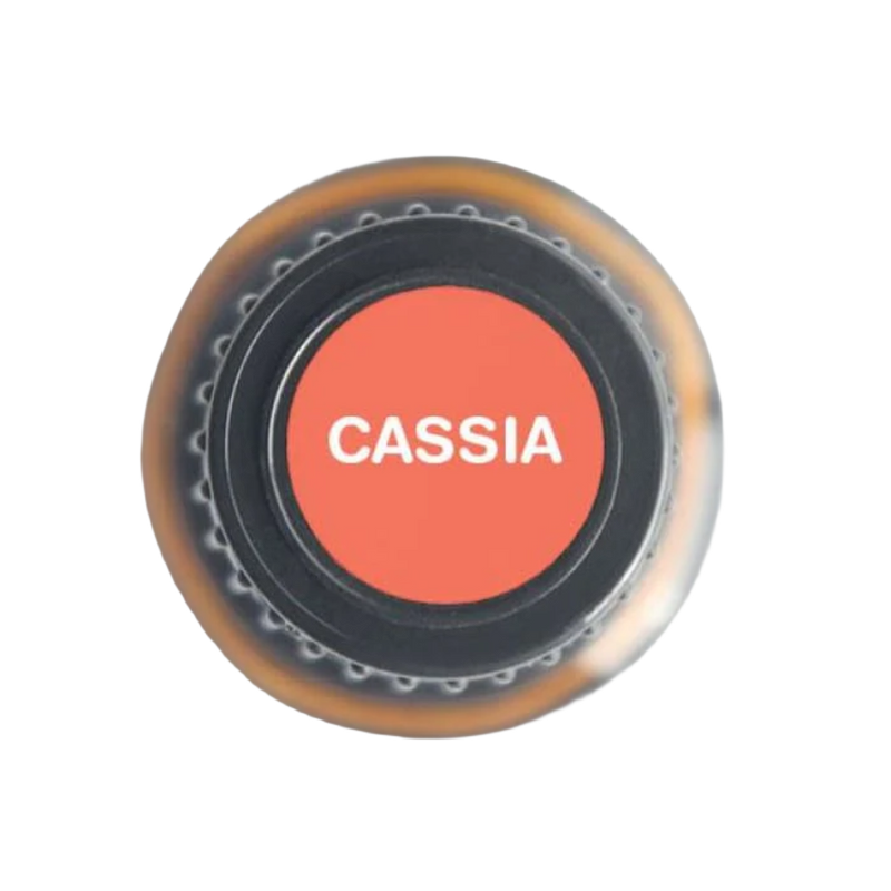 Cassia Pure Essential Oil - 15ml | 100% Pure & Natural | Warm, Sweet Aroma | Aromatherapy & Topical Use