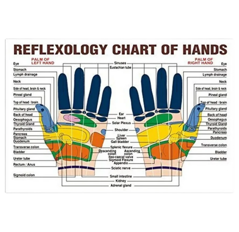 Therapeutic Massage Ring - Omlinea  